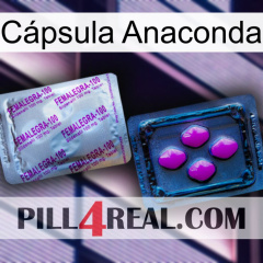 Cápsula Anaconda 37